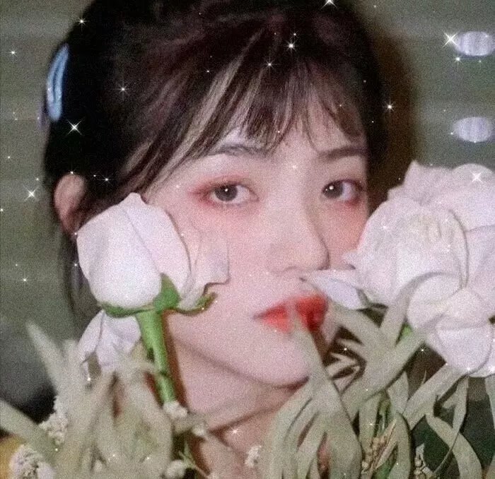 黑暗中的王子